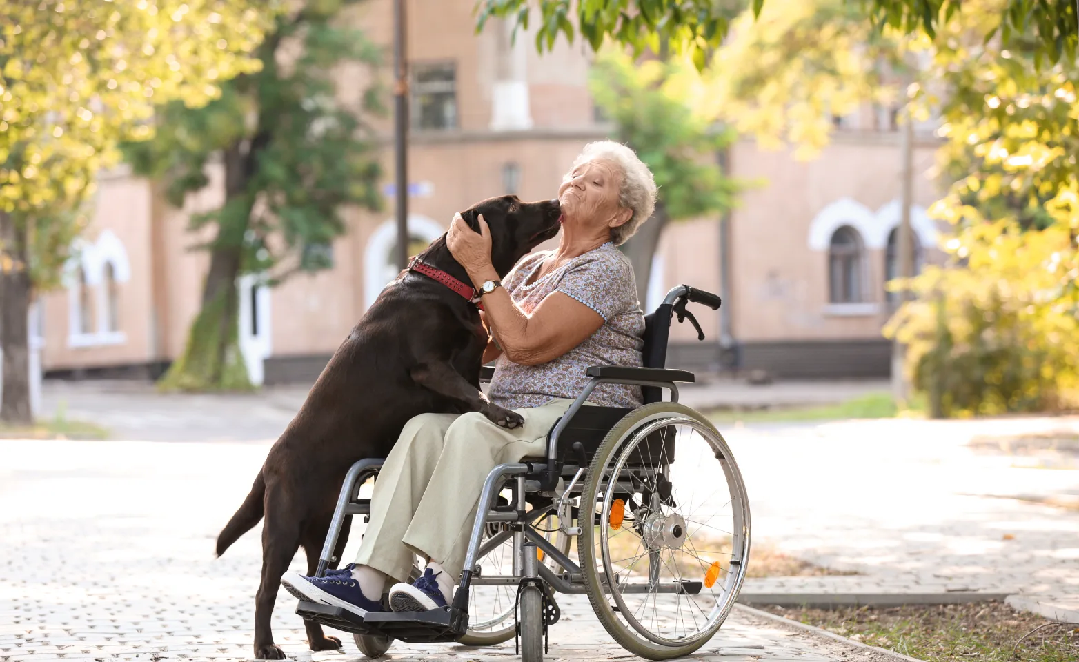 Old lady in a wheelchair petting a dog
